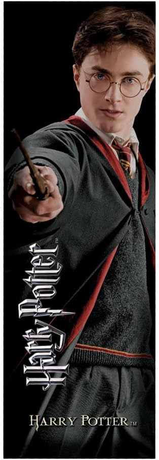 Stylo baguette magique Harry Potter à manche texturé avec marque-page assorti