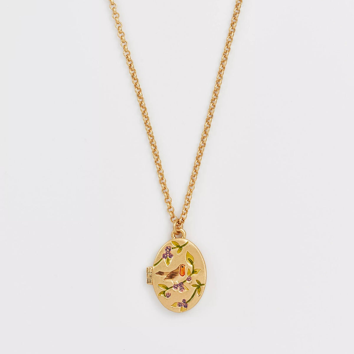 Collier Médaillon Rouge gorge & Mûre – Plaqué or - Fable England