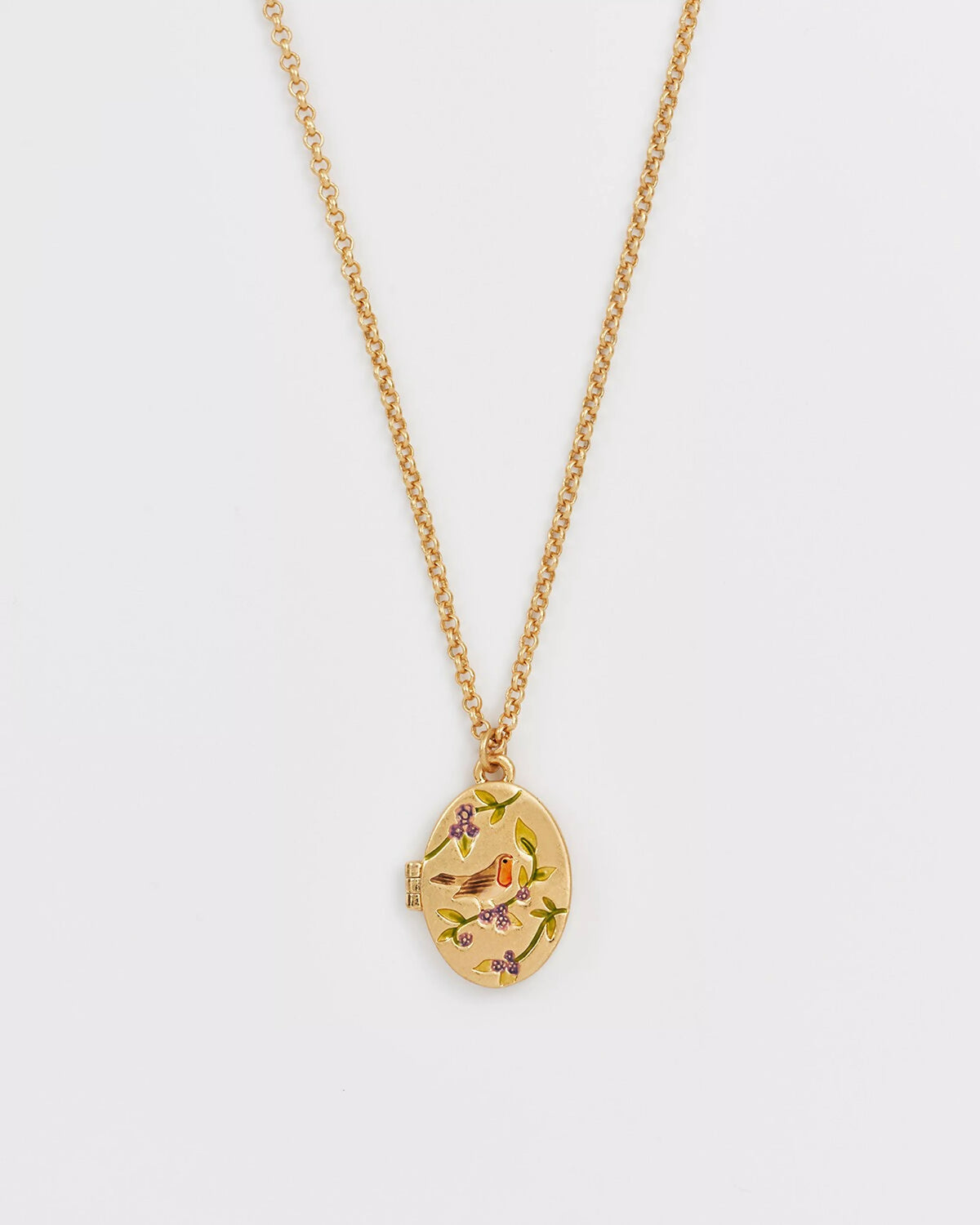Collier Médaillon Rouge gorge & Mûre – Plaqué or - Fable England