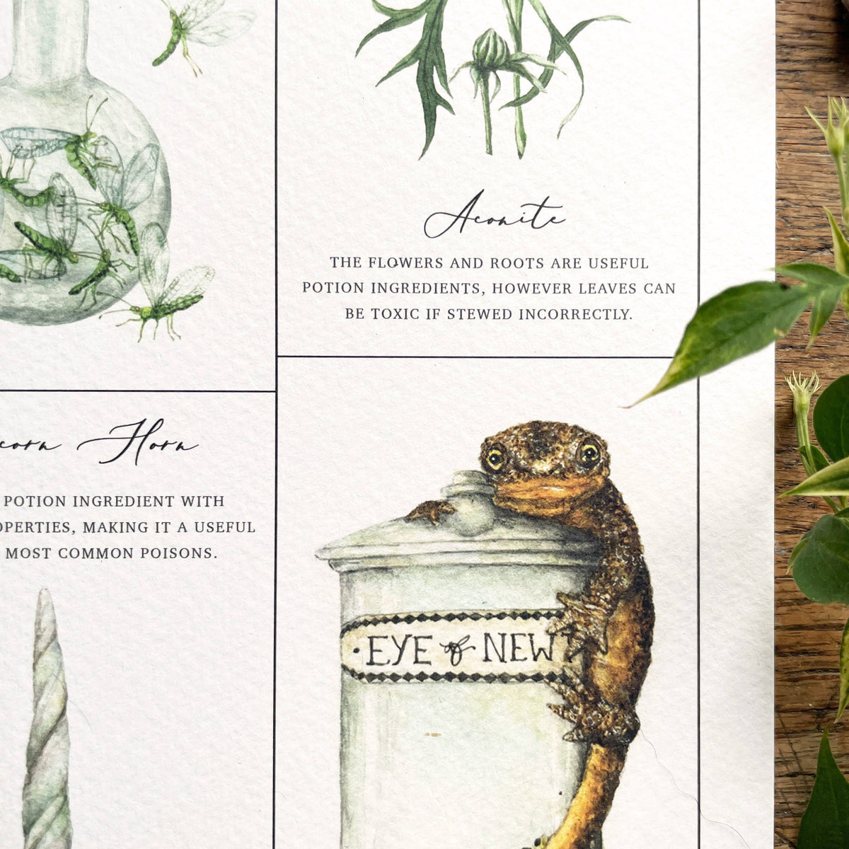 Affiche aquarelle Georgiou Draws des ingrédients de potions magiques, champignon et corne de licorne