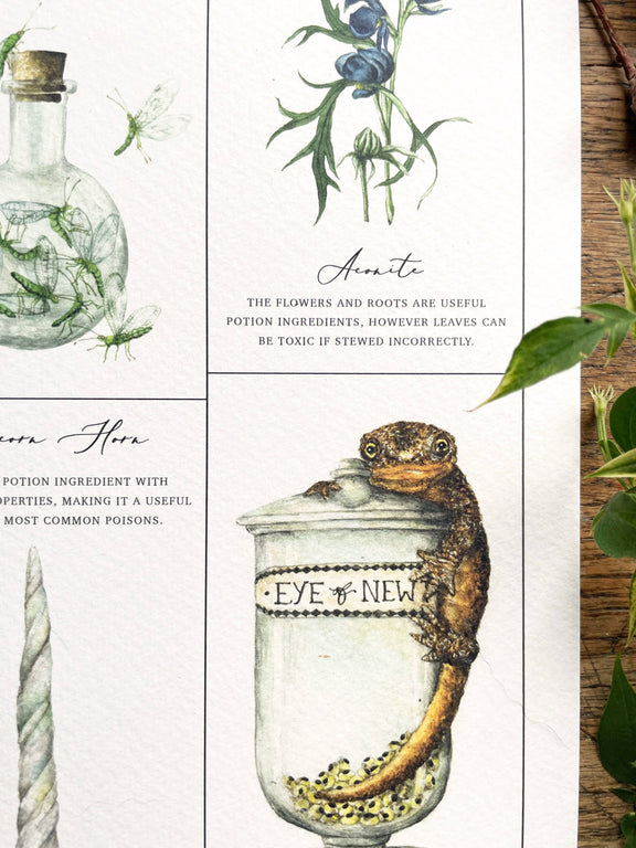 Affiche aquarelle Georgiou Draws des ingrédients de potions magiques, champignon et corne de licorne
