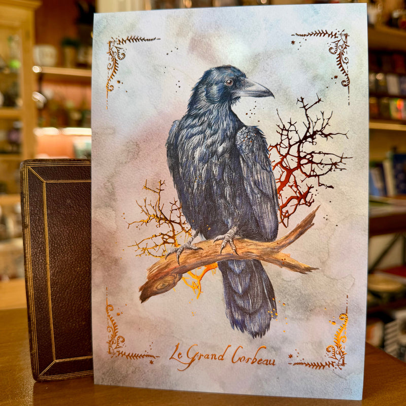 Illustration mystique du Grand Corbeau perché sur une branche, crayons et aquarelle, L'Or.angerie