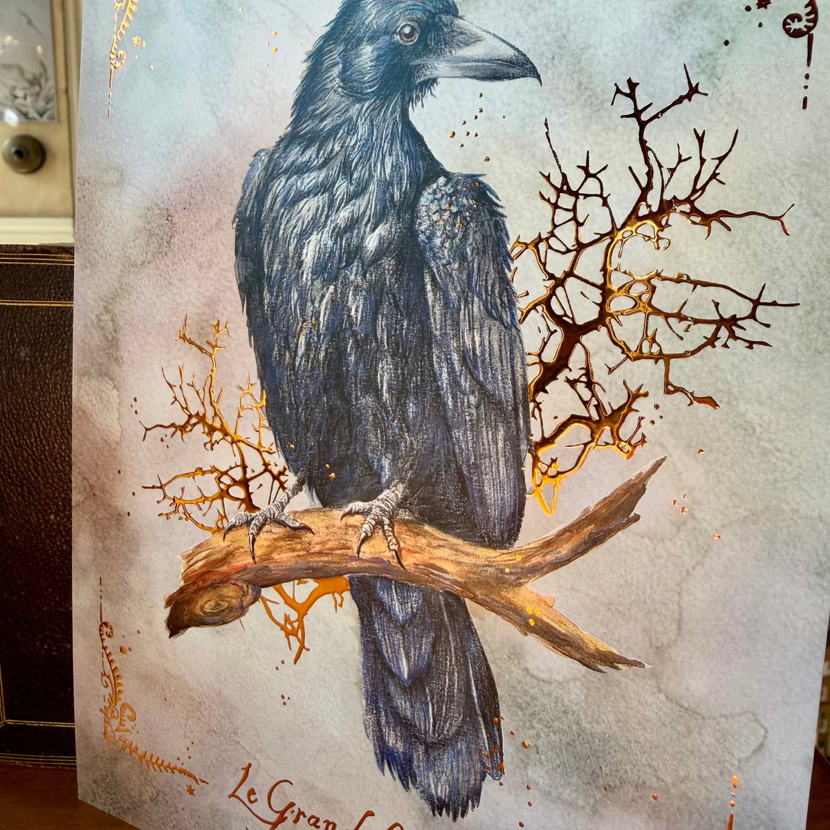 Illustration mystique du Grand Corbeau perché sur une branche, crayons et aquarelle, L'Or.angerie