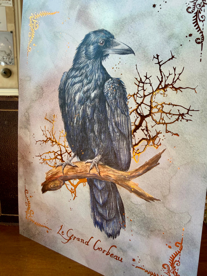 Illustration mystique du Grand Corbeau perché sur une branche, crayons et aquarelle, L'Or.angerie