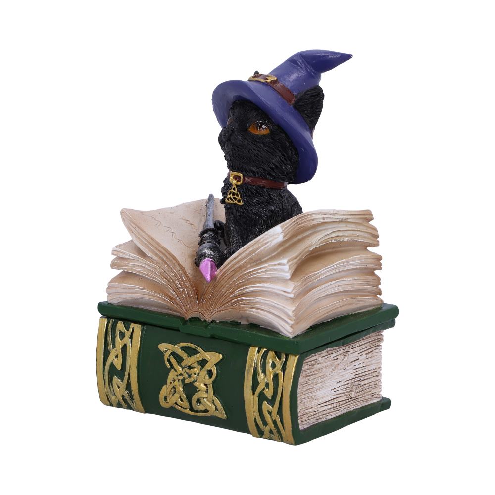 Boîte à bijoux en forme de grimoire avec chat noir sorcier et baguette sur le couvercle, motifs dorés