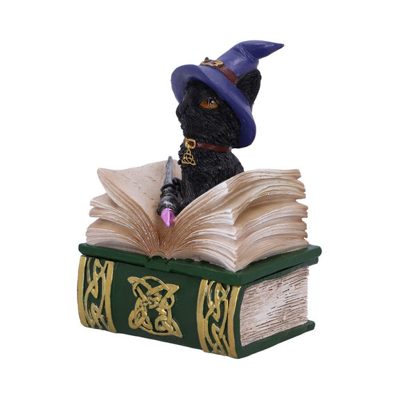 Boîte à bijoux en forme de grimoire avec chat noir sorcier et baguette sur le couvercle, motifs dorés