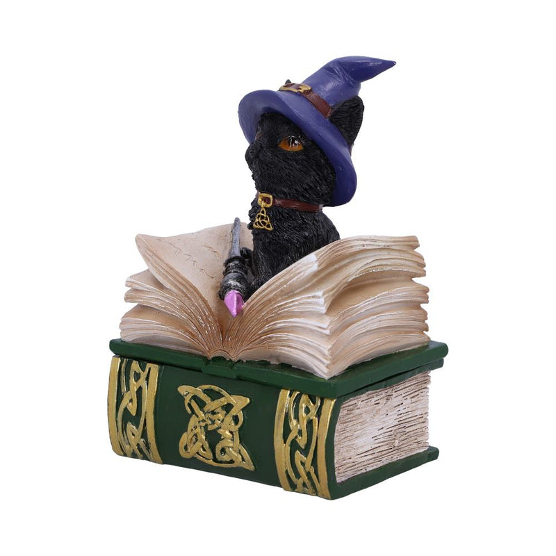 Boîte à bijoux en forme de grimoire avec chat noir sorcier et baguette sur le couvercle, motifs dorés