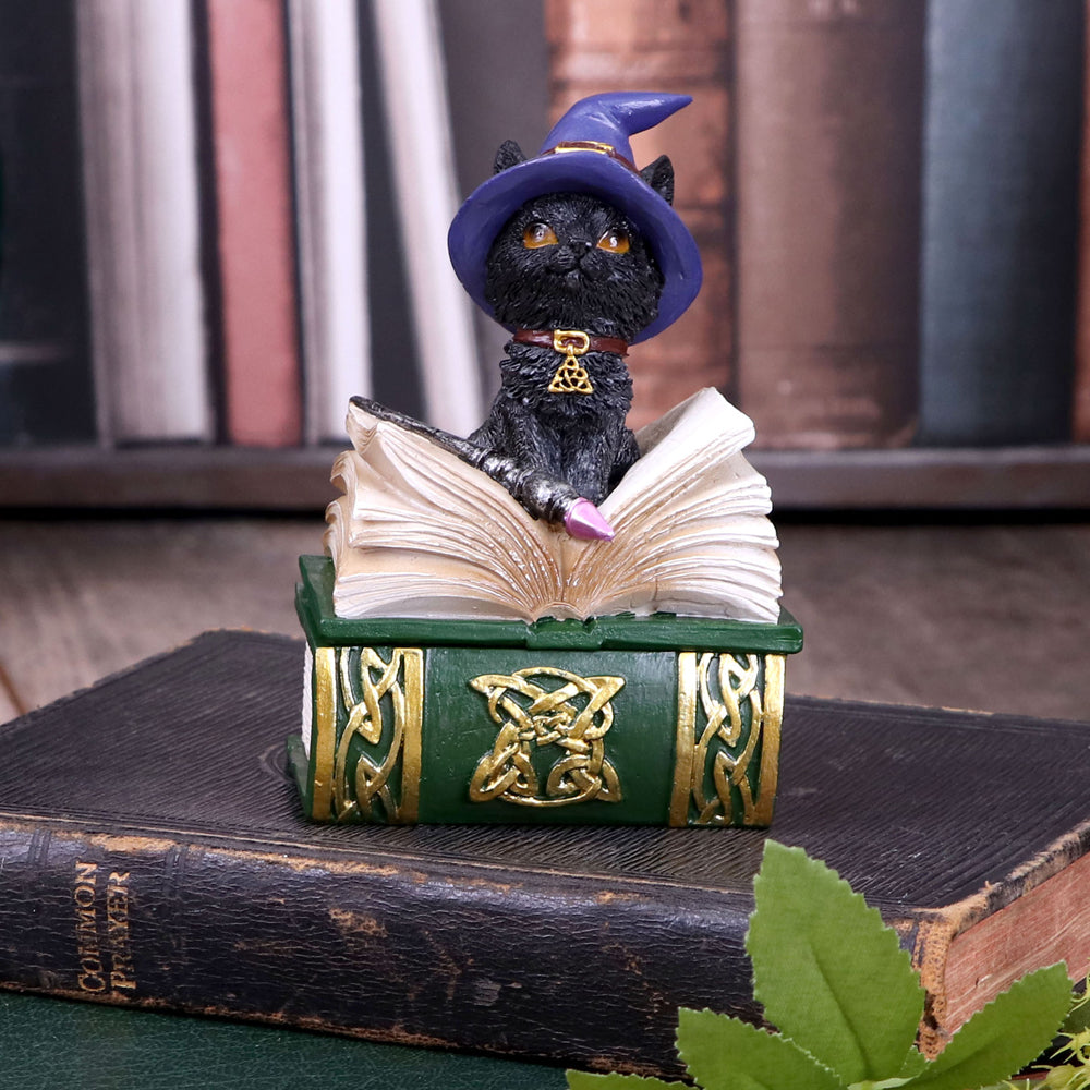 Boîte à bijoux en forme de grimoire avec chat noir sorcier et baguette sur le couvercle, motifs dorés