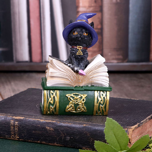 Boîte à bijoux en forme de grimoire avec chat noir sorcier et baguette sur le couvercle, motifs dorés