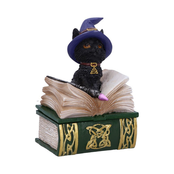 Boîte à bijoux en forme de grimoire avec chat noir sorcier et baguette sur le couvercle, motifs dorés