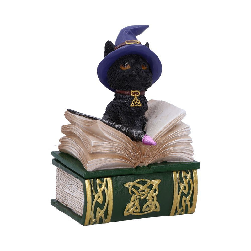 Boîte à bijoux en forme de grimoire avec chat noir sorcier et baguette sur le couvercle, motifs dorés