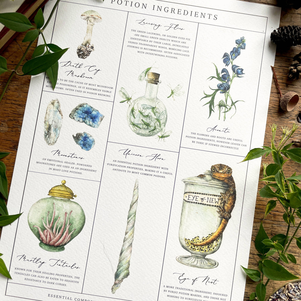 Affiche aquarelle Georgiou Draws des ingrédients de potions magiques, champignon et corne de licorne