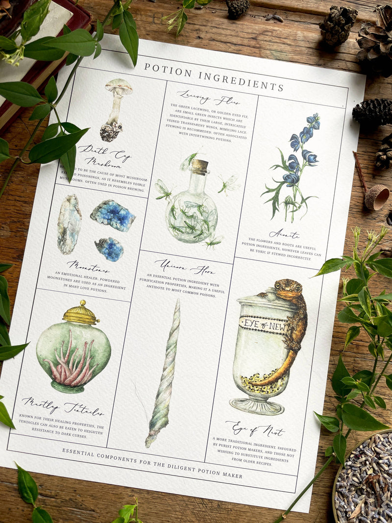 Affiche aquarelle Georgiou Draws des ingrédients de potions magiques, champignon et corne de licorne
