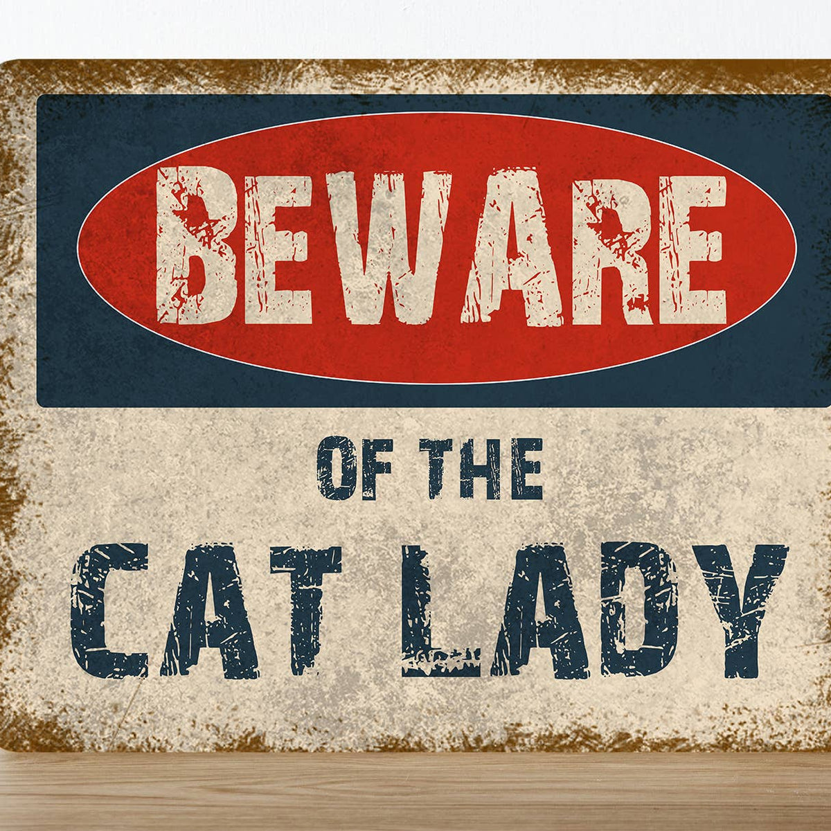 Plaque métal vintage humoristique Attention à la dame aux chats