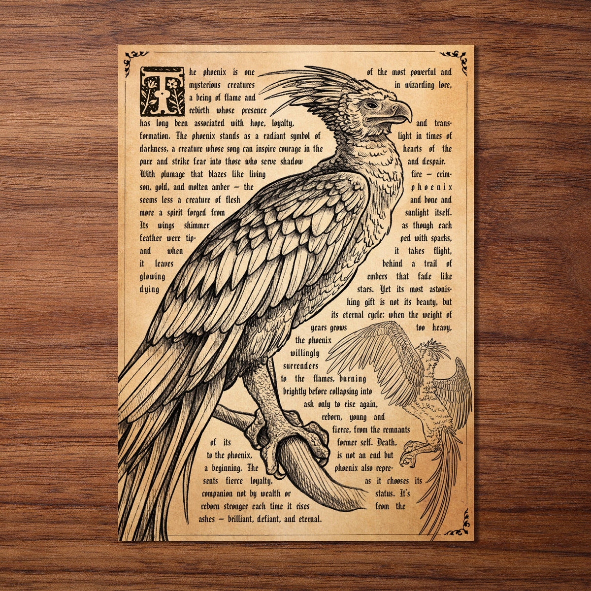 Carte postale vintage illustrée d'un phénix en tons sépia, style ancienne encyclopédie magique