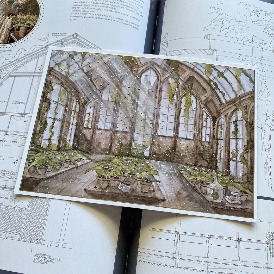 Illustration A5 d'une serre magique ancienne baignée de lumière et envahie de plantes enchantées