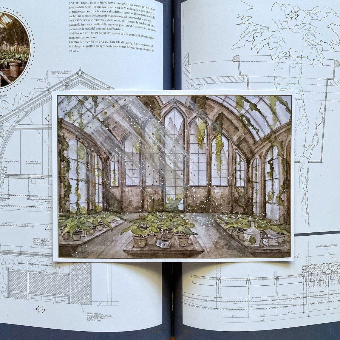 Illustration A5 d'une serre magique ancienne baignée de lumière et envahie de plantes enchantées