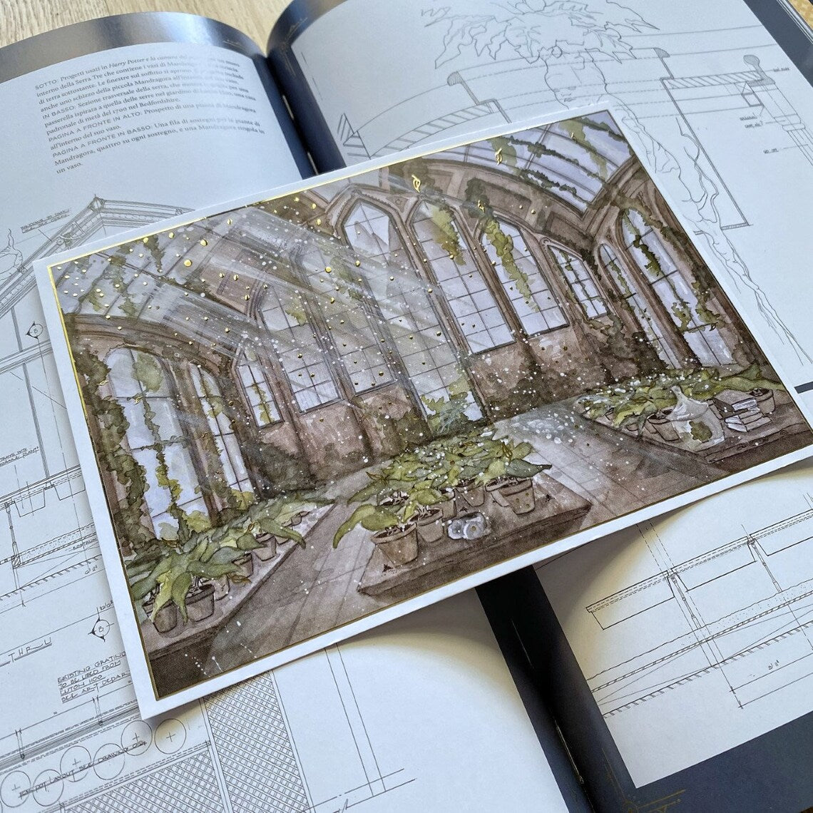 Illustration A5 d'une serre magique ancienne baignée de lumière et envahie de plantes enchantées
