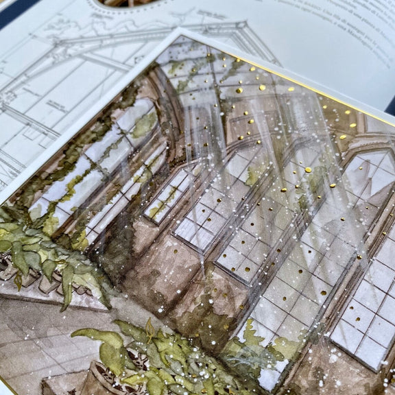 Illustration A5 d'une serre magique ancienne baignée de lumière et envahie de plantes enchantées
