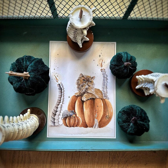 Illustration A5 d'un chat au regard expressif installé parmi des citrouilles d'automne avec un rat