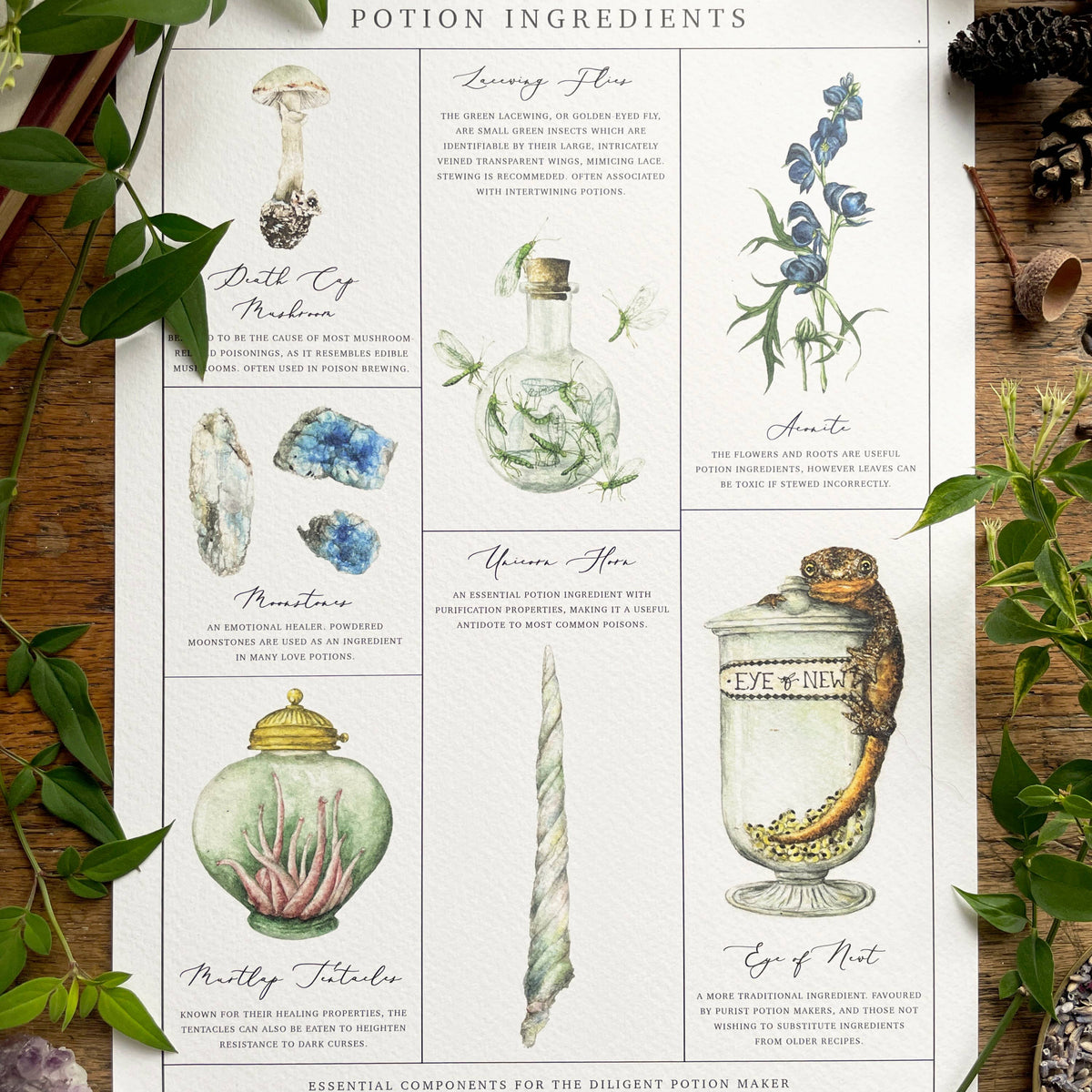 Affiche aquarelle Georgiou Draws des ingrédients de potions magiques, champignon et corne de licorne