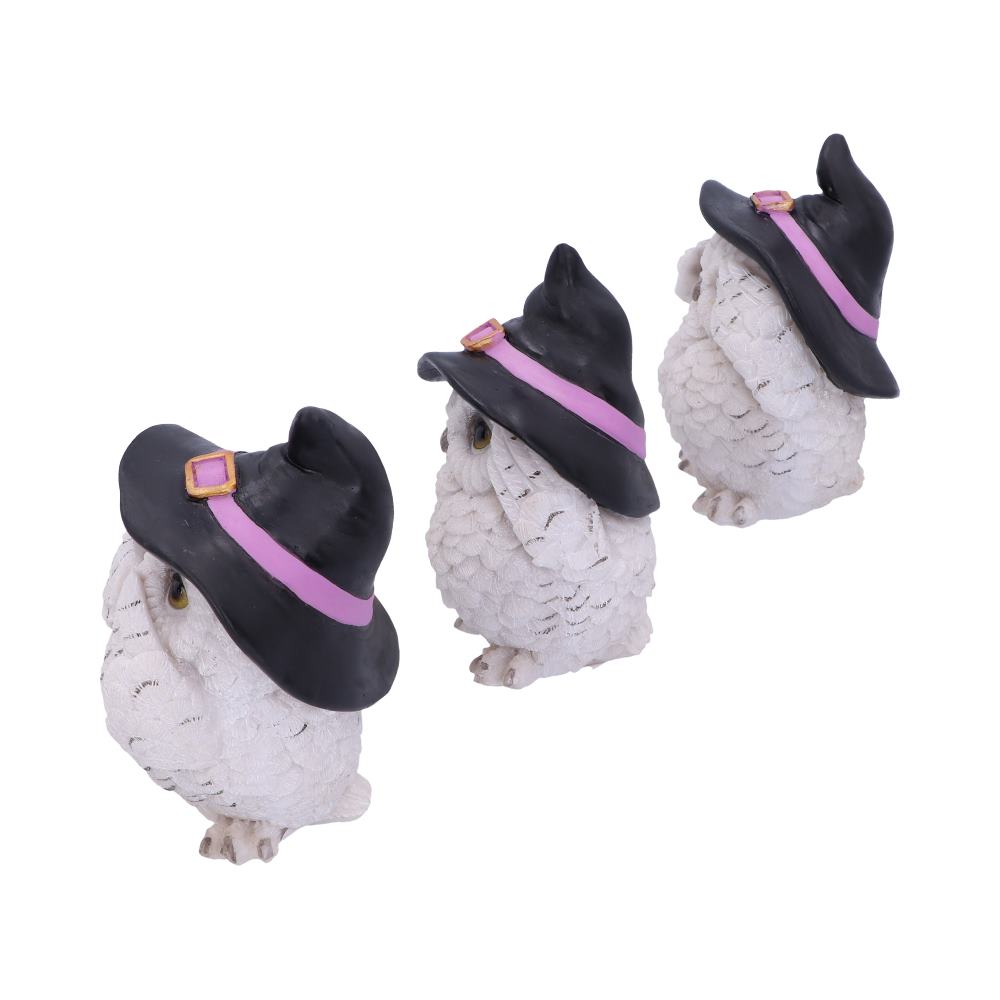 Trio de chouettes blanches sages aux chapeaux de sorcière, figurines en résine mantra protecteur