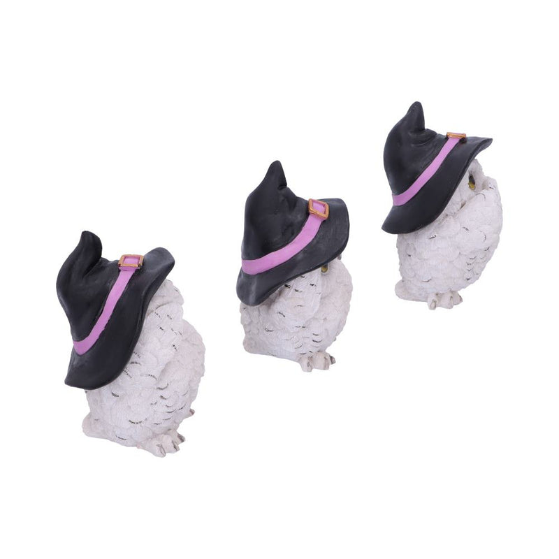 Trio de chouettes blanches sages aux chapeaux de sorcière, figurines en résine mantra protecteur