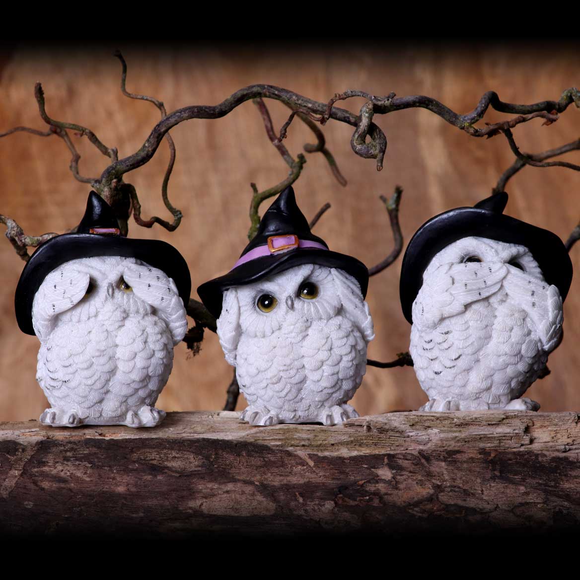 Trio de chouettes blanches sages aux chapeaux de sorcière, figurines en résine mantra protecteur