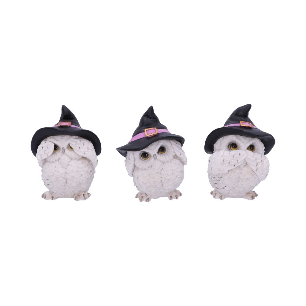 Trio de chouettes blanches sages aux chapeaux de sorcière, figurines en résine mantra protecteur