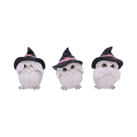 Trio de chouettes blanches sages aux chapeaux de sorcière, figurines en résine mantra protecteur