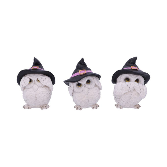 Trio de chouettes blanches sages aux chapeaux de sorcière, figurines en résine mantra protecteur