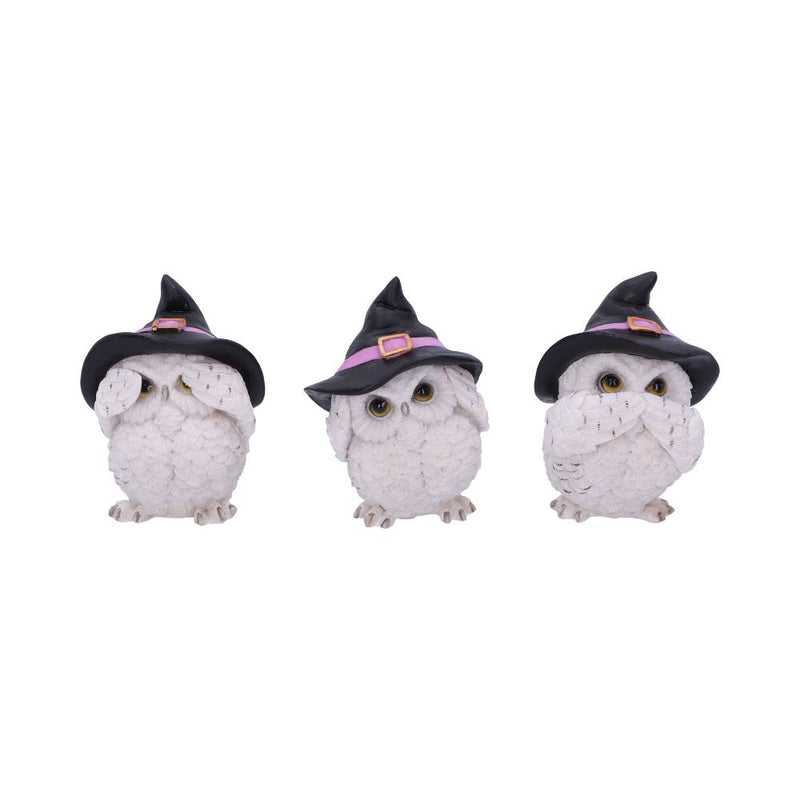 Trio de chouettes blanches sages aux chapeaux de sorcière, figurines en résine mantra protecteur