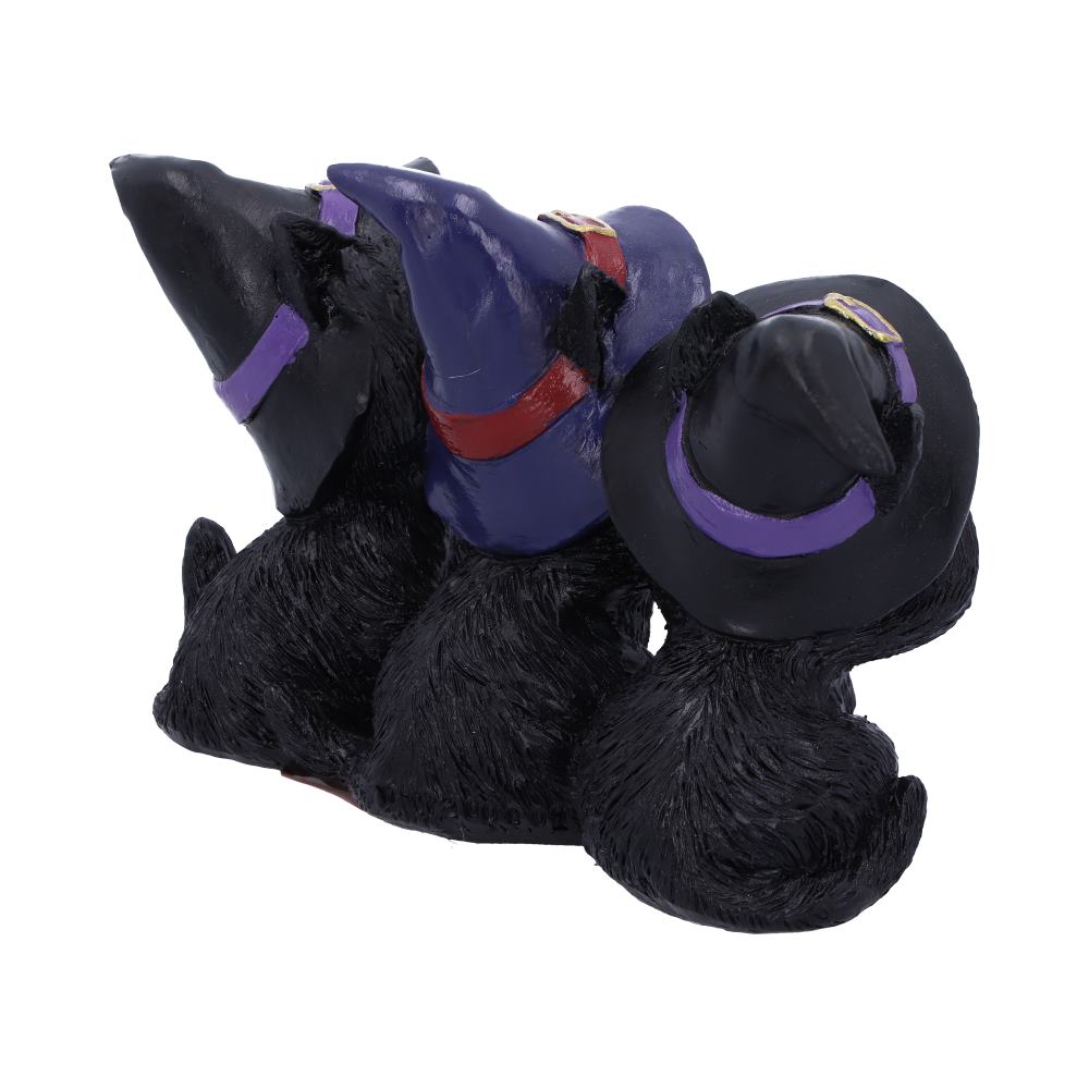 Trio de figurines chats sorciers sages Nemesis Now en résine, chapeaux pointus, Halloween