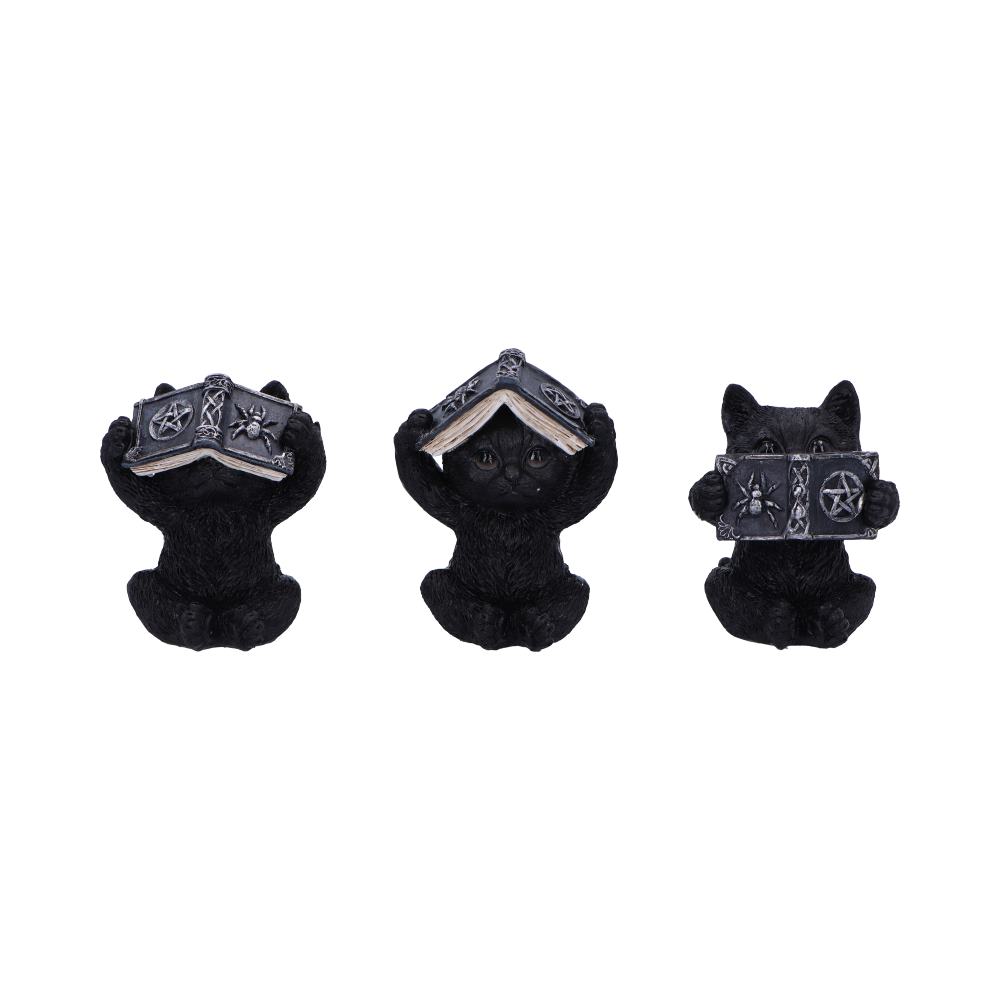 Trio de figurines chats occultes sages tenant des grimoires mystiques gravés de pentacles